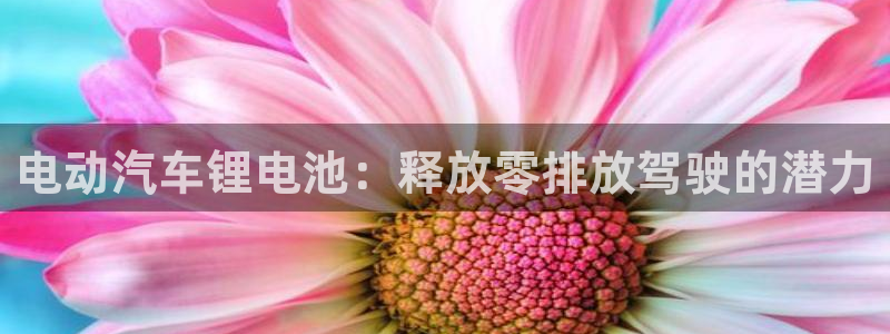 优发国际手机版客户端下载