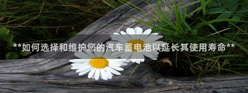 优发国际客服联系方式