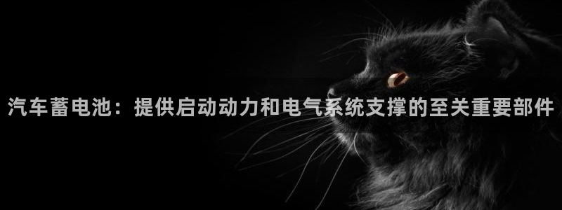 优发国际合并到哪里了
