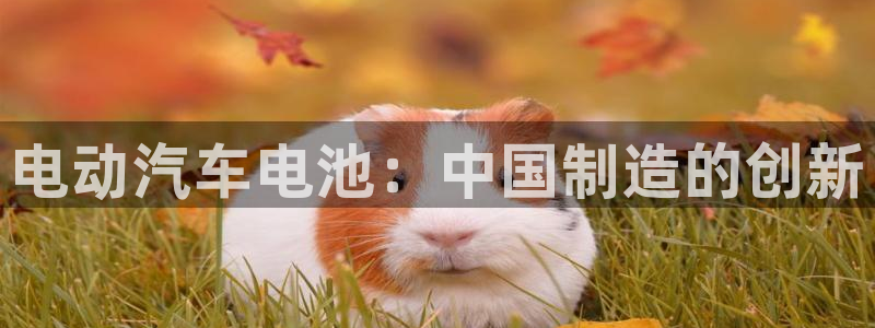 优发国际提现不了