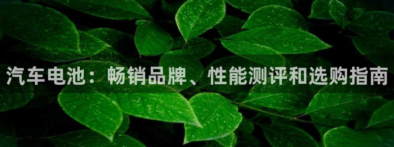 优发国际官网下载安装