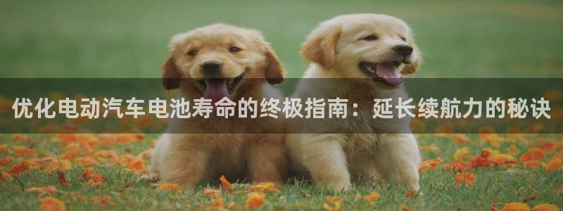 优发国际首页官网
