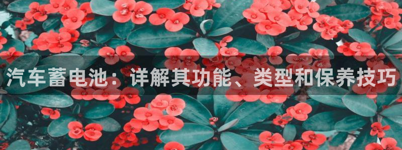 优发国际官网官方网址