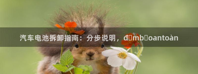 优发国际app官网下载安装手机版