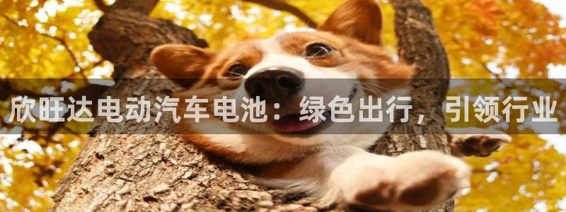 优发国际youfa