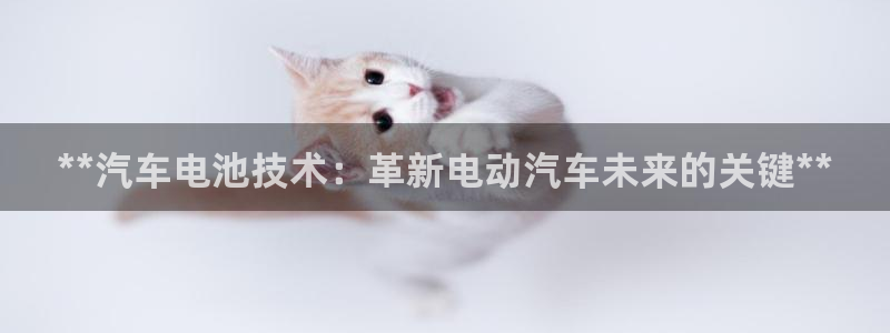 优发国际网官网
