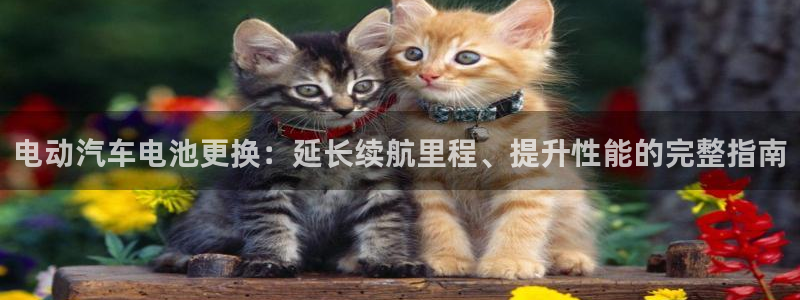 优发国际平台手机版下载官网
