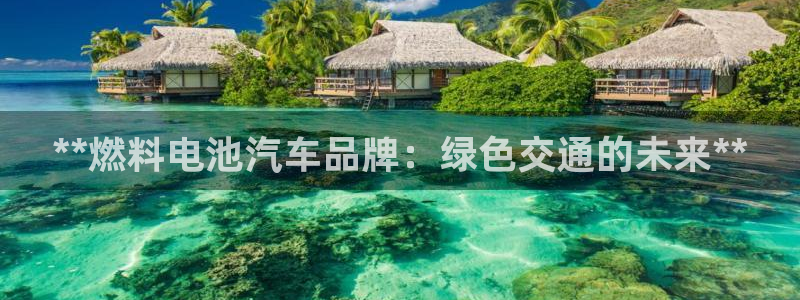 优发国际软件下载官网