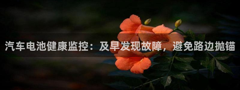 优发国际官方网