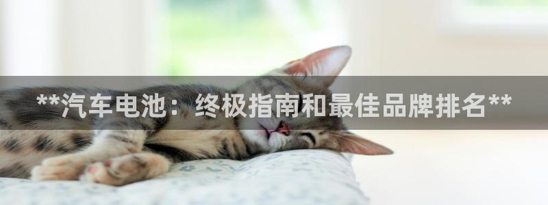 优发国际平台18