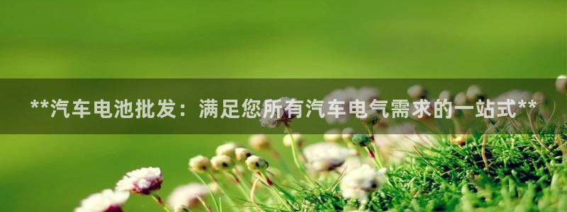 优发国际网官网17o8