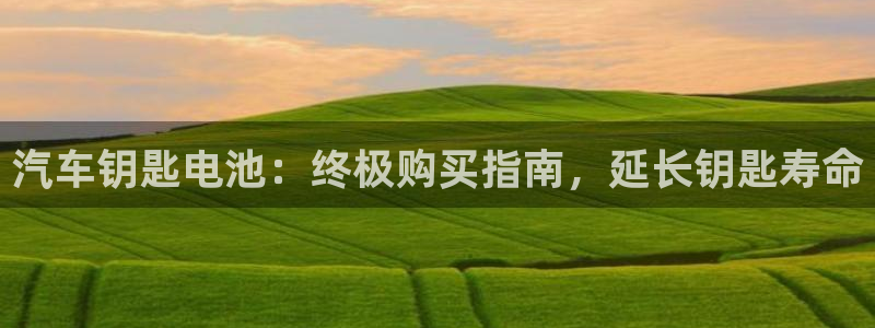 优发国际平台app下载官网