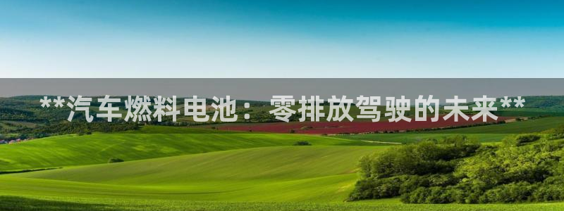 优发国际官方网平台