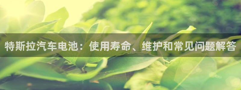 优发国际 干什么的