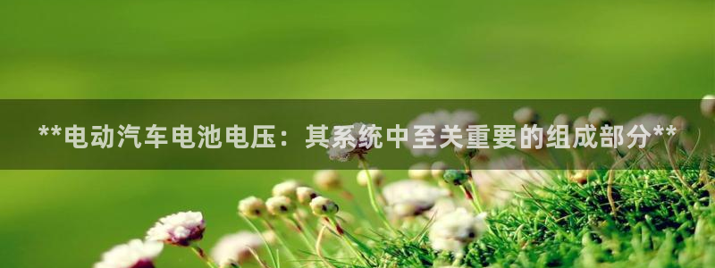 优发国际手机客户端下载官网