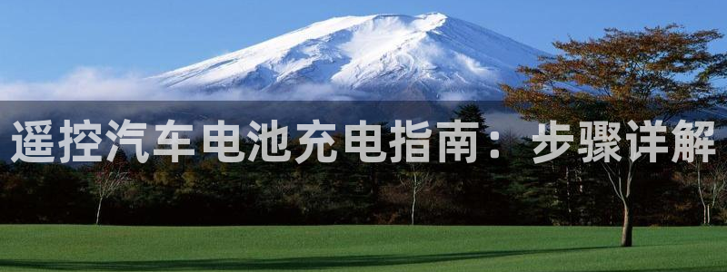 优发国际可以玩吗：遥控汽车电池充电指南：步骤详解