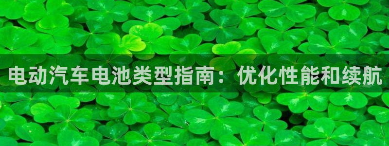 优发国际登录：电动汽车电池类型指南：优化性能和续航