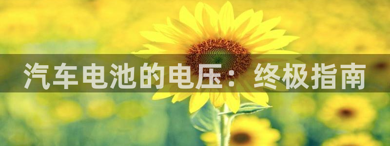 优发国际官方网手机版下载