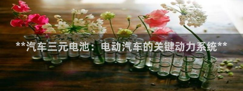优发国际官方网手机版app