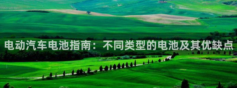 优发国际官网入口app下载：电动汽车电池指南：不同类型的电池及其优缺点