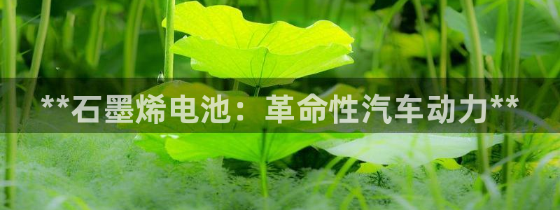 优发国际官方网平台：**石墨烯电池：革命性汽车动力**