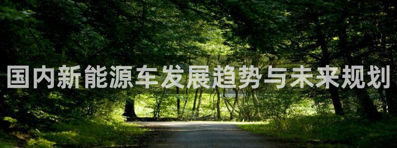 优发国际手机版网站登录：国内新能源车发展趋势与未来规划