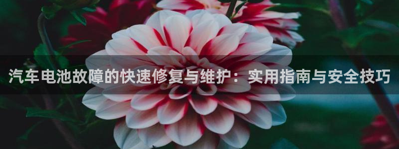 优发国际手机客户端
