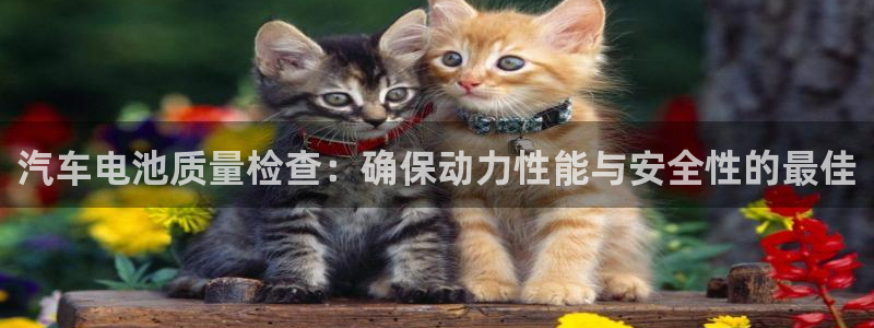 优发国际官网首页入口：汽车电池质量检查：确保动力性能与安全性的最佳