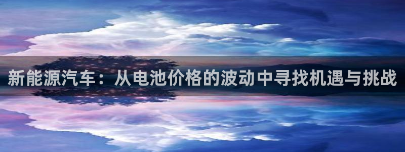 优发国际手机版唯一官网是什么：新能源汽车：从电池价格的波动中寻找机遇与挑战