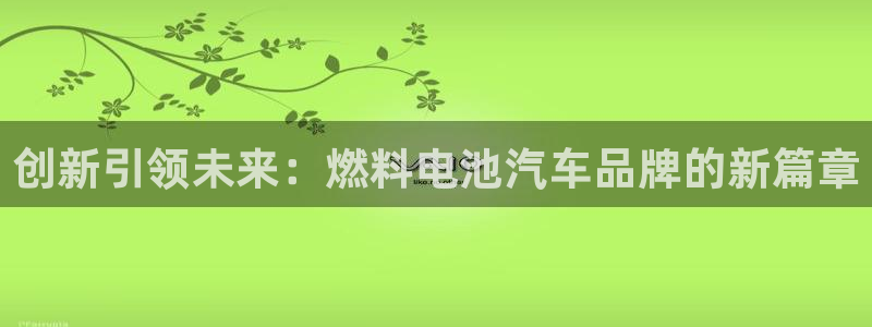 优发国际是什么：创新引领未来：燃料电池汽车品牌的新篇章