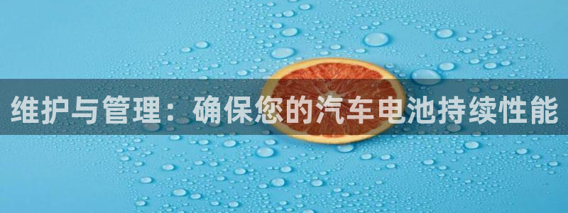 优发国际app登录不了：维护与管理：确保您的汽车电池持续性能