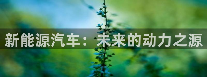 优发国际注册平台怎么样：新能源汽车：未来的动力之源