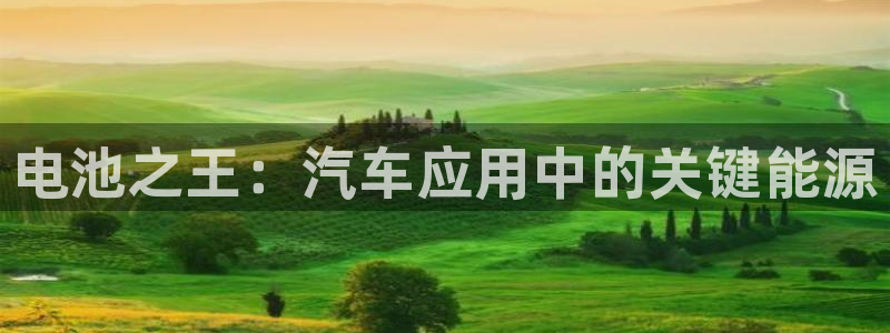 优发国际登录app：电池之王：汽车应用中