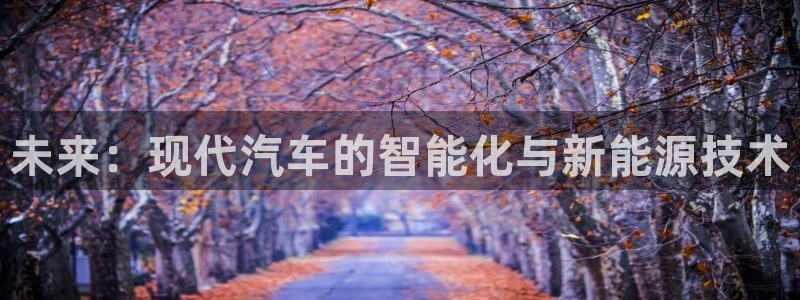 优发国际线上娱官网：未来：现代汽车的智能