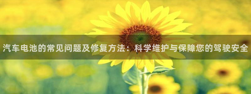 优发国际平台app下载安装：汽车电池的常