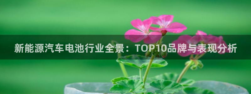 优发国际官网平台