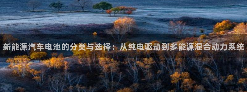 优发国际游戏官网：新能源汽车电池的分类与选择：从纯电驱动到多能源混合动力系统