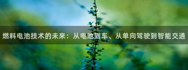 优发国际登录k8：燃料电池技术的未来：从电池到车、从单向驾驶到智能交通