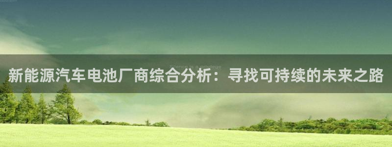 优发国际手机app下载安装苹果：新能源汽车电池厂商综合分析：寻找可持续的未来之路
