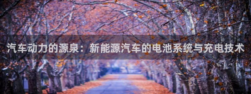 优发国际注册平台官网：汽车动力的源泉：新能源汽车的电池系统与充电技术