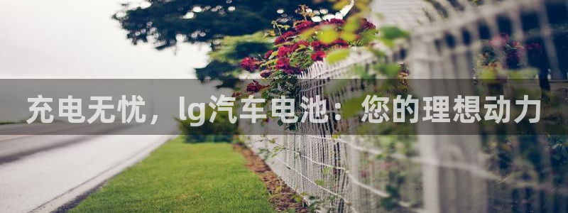 优发国际官网