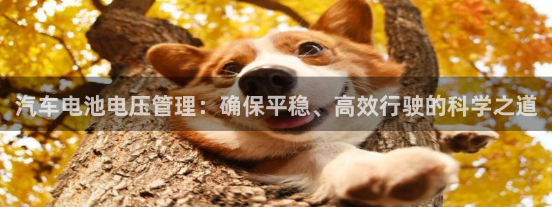 优发国际首页：汽车电池电压管理：确保平稳、高效行驶的科学之道