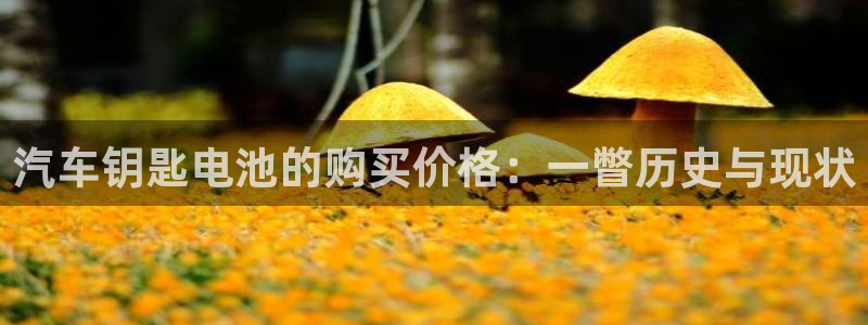 优发国际官网是多少号码：汽车钥匙电池的购买价格：一瞥历史与现状