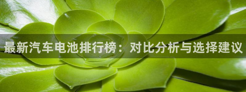 优发国际是大平台吗是真的吗：最新汽车电池排行榜：对比分析与选择建议
