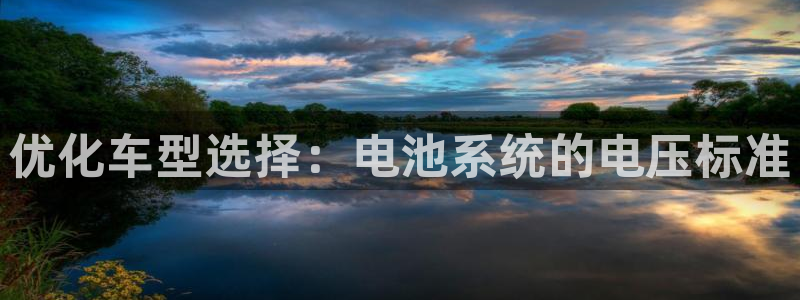 优发国际手机客户端下载安卓：优化车型选择：电池系统的电压标准