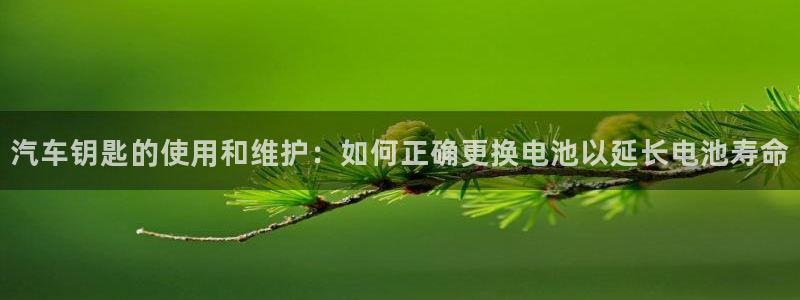 优发国际客服联系方式电话：汽车钥匙的使用