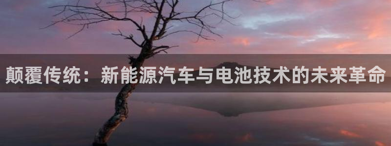 优发国际手机版下载：颠覆传统：新能源汽车与电池技术的未来革命