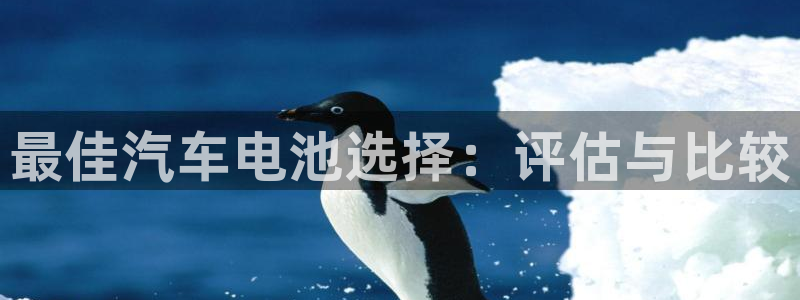 优发国际youfa：最佳汽车电池选择：评估与比较