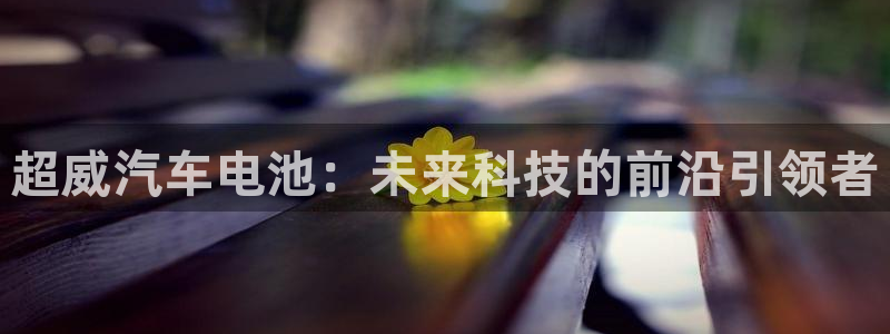 优发国际手机版网站：超威汽车电池：未来科技的前沿引领者