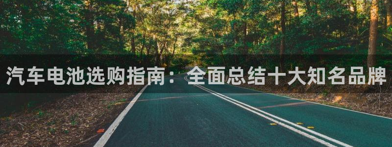 优发娱乐官网地址：汽车电池选购指南：全面总结十大知名品牌